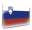 Slovenski jezik